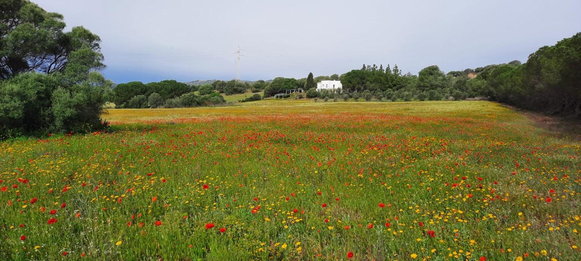 Agreen Country House Olbia Extérieur photo
