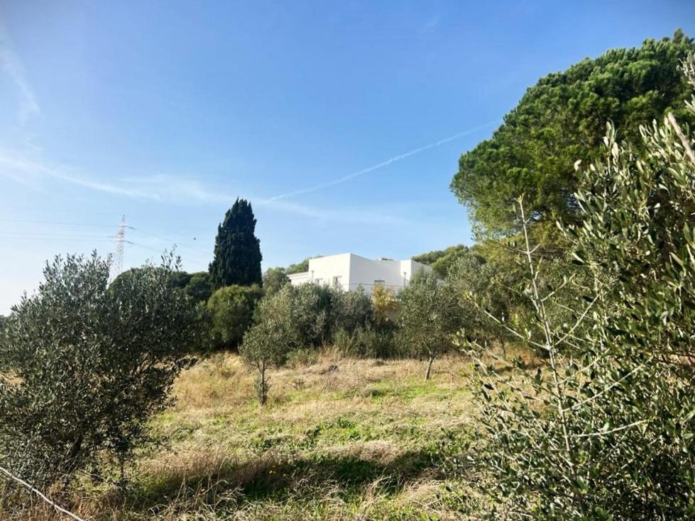 Agreen Country House Olbia Extérieur photo