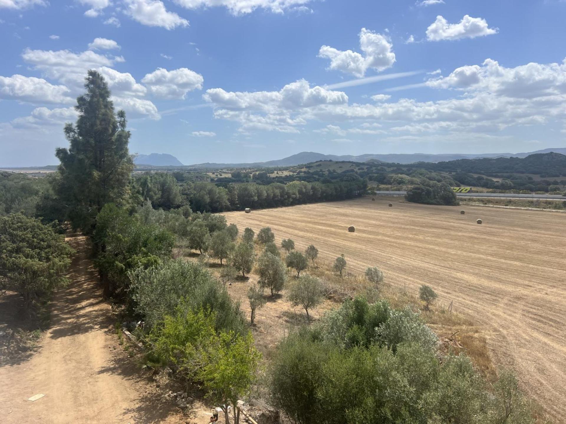 Agreen Country House Olbia Extérieur photo