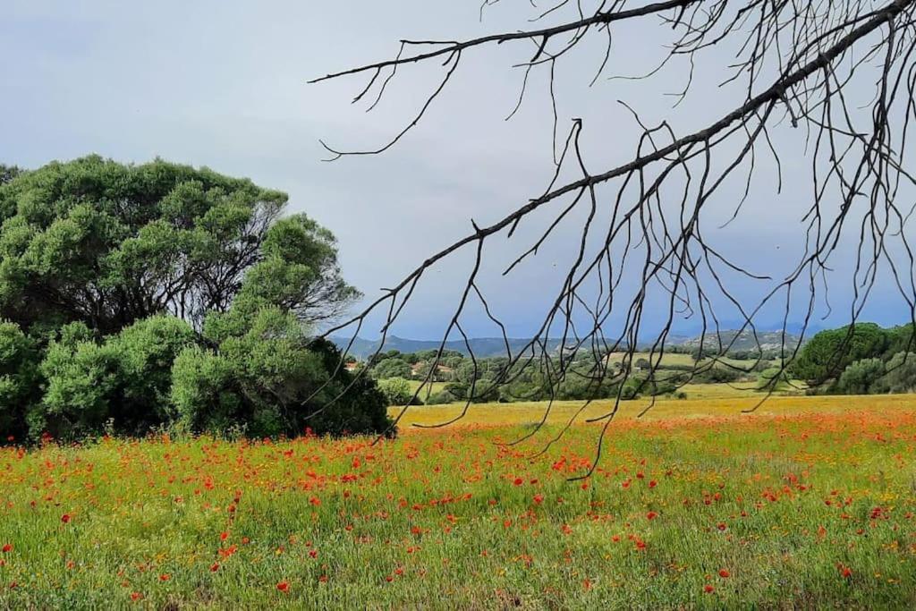 Agreen Country House Olbia Extérieur photo